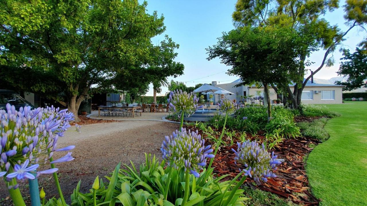 Picardiplace Rawsonville Kültér fotó